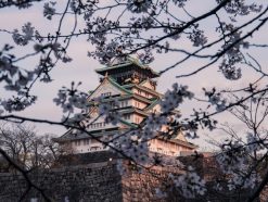 pexels satoshi hirayama 4058527