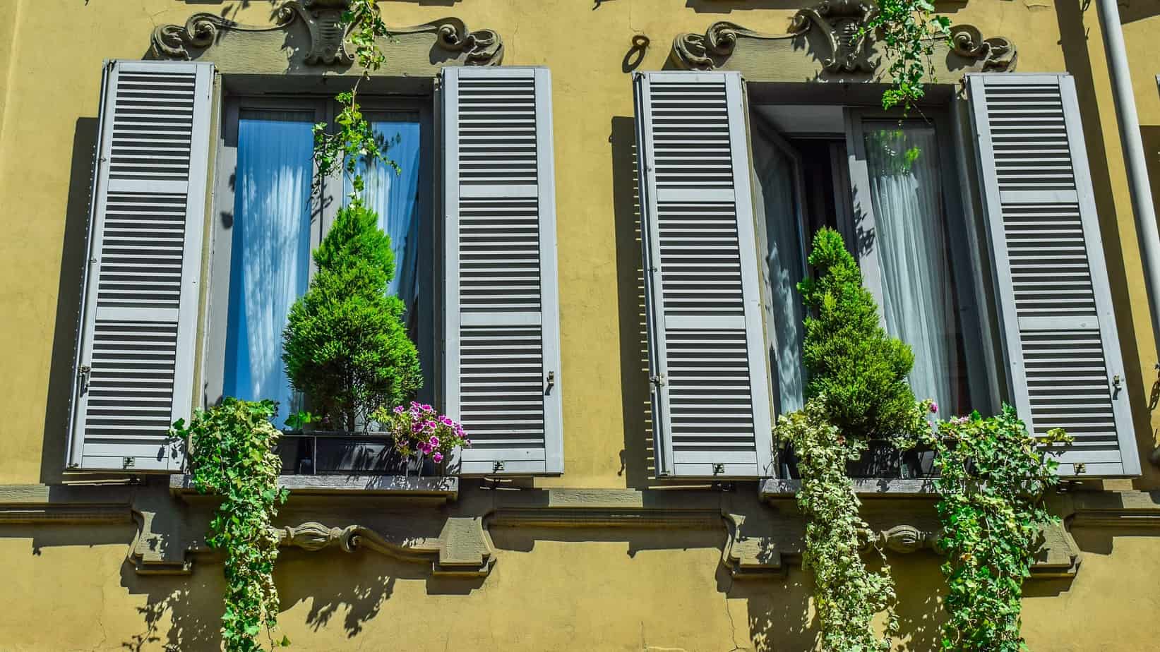 Milan Architecture windows