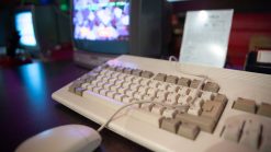 amiga 4321201 1280