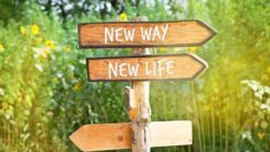 https://media.istockphoto.com/photos/wooden-direction-sign-new-way-new-life-picture-id931513848?b=1&k=20&m=931513848&s=170667a&w=0&h=BVURbp-meHz6KNhvr1TBB05zxOMZzpLqvbvR5B4mId8=