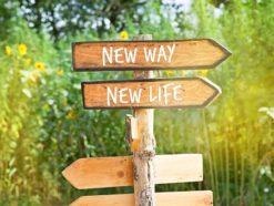 https://media.istockphoto.com/photos/wooden-direction-sign-new-way-new-life-picture-id931513848?b=1&k=20&m=931513848&s=170667a&w=0&h=BVURbp-meHz6KNhvr1TBB05zxOMZzpLqvbvR5B4mId8=