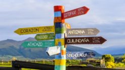 white red and green wooden street sign