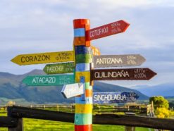 white red and green wooden street sign